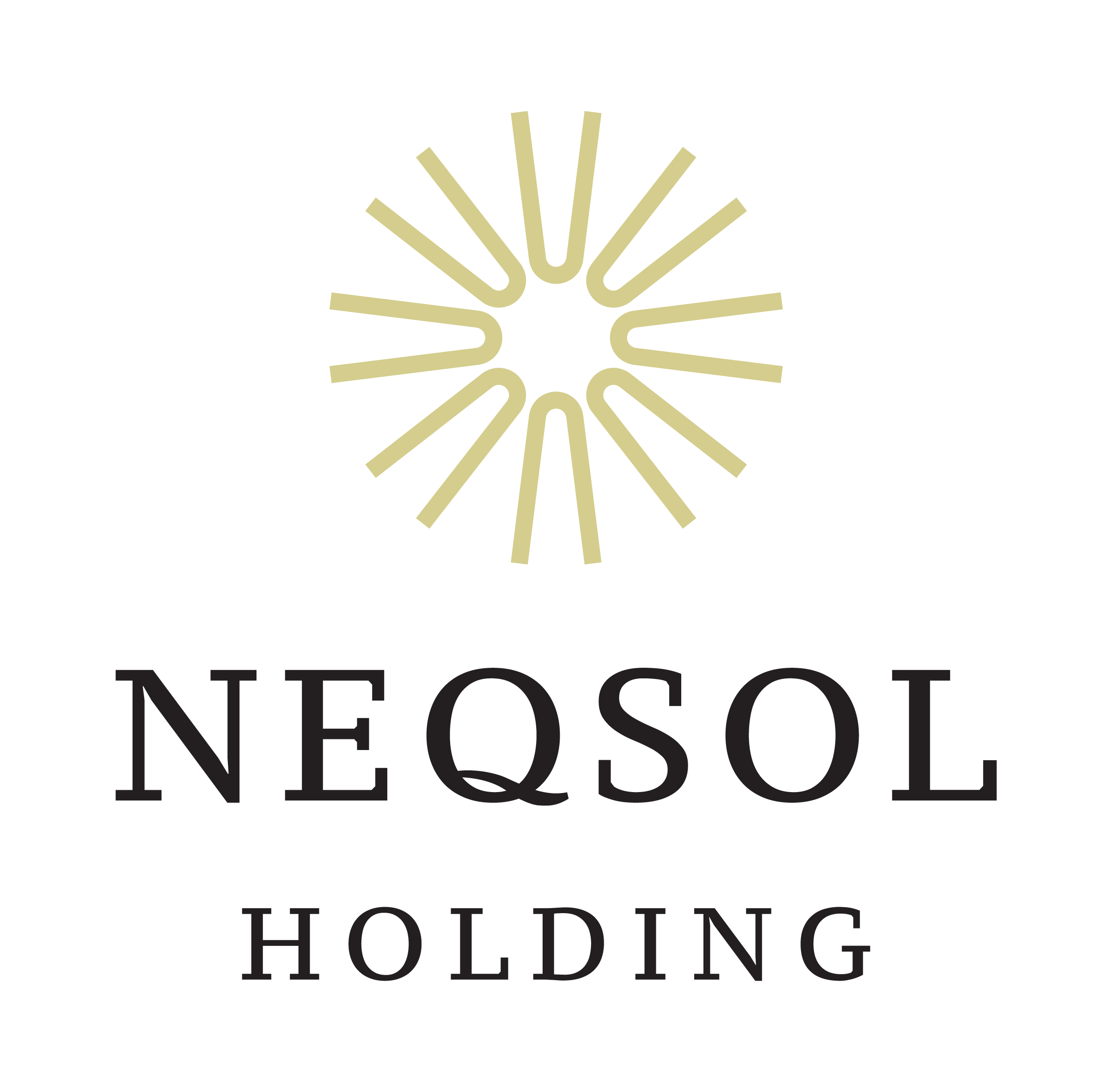 NEQSOL Holding